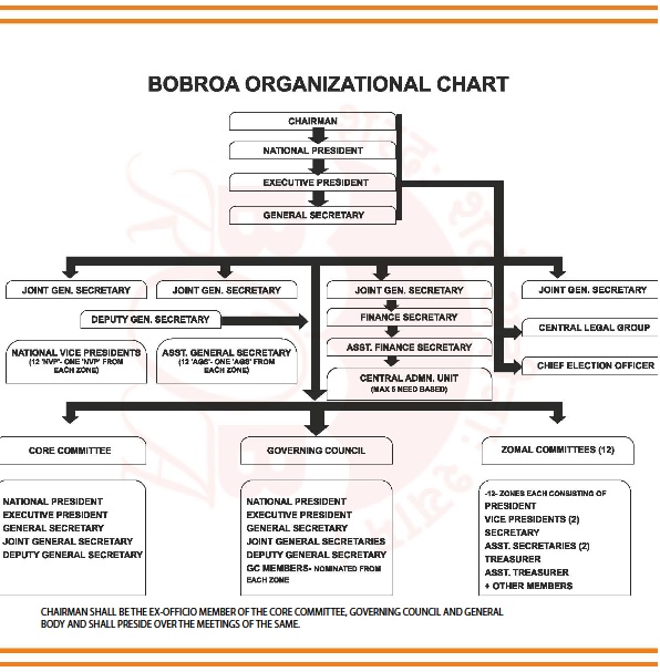 /docs/BOBROA-ORG/BOBROA-ORG.jpg